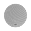 Picture of Ceiling Speaker-6.5 Inch -DSPPA