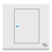 Picture of Switch 1Gang - 2 Way -ARTDNA